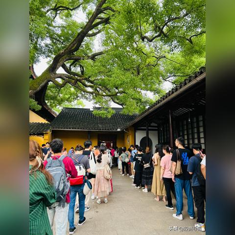 苏州素食餐饮品牌—品味自然之味，体验健康生活