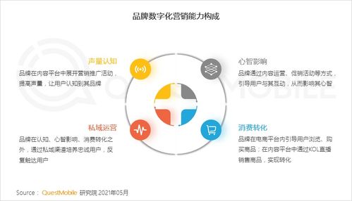 餐饮品牌nps软件，提升客户体验的数字化利器
