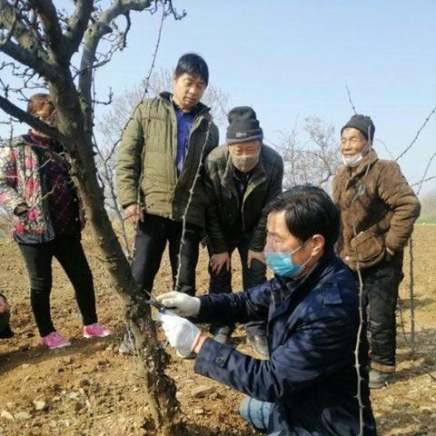 揭秘微信聊天记录与手机短信的神秘联系—轻松查询两不误！