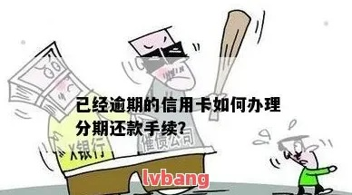 揭秘金东分期乐，教你轻松自己套现，攻略全解析！