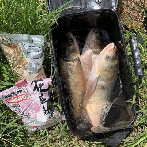 户外大遮阳伞—炎炎夏日的清凉守护者
