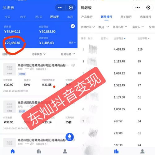 揭秘金东抖音月付套利攻略，如何轻松赚取额外收益？