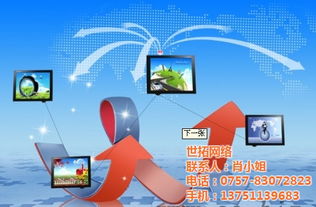品牌商家电商推广策略