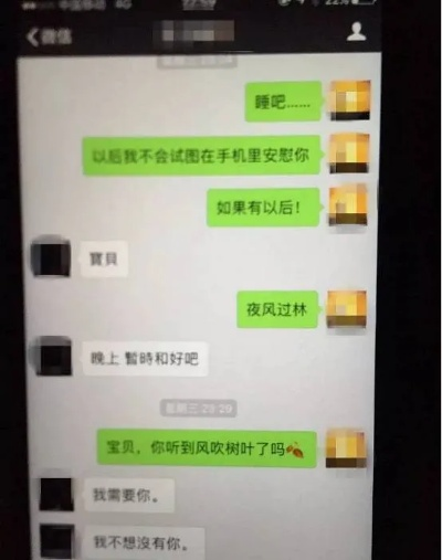 揭秘查老婆微信聊天记录P6，隐私与信任的较量