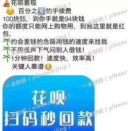 揭秘金东白条实物套现，揭秘背后的秘密与风险
