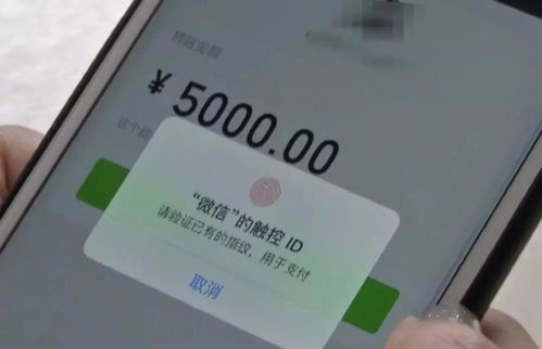 微信分付取现功能解析，轻松借钱的秘密武器！