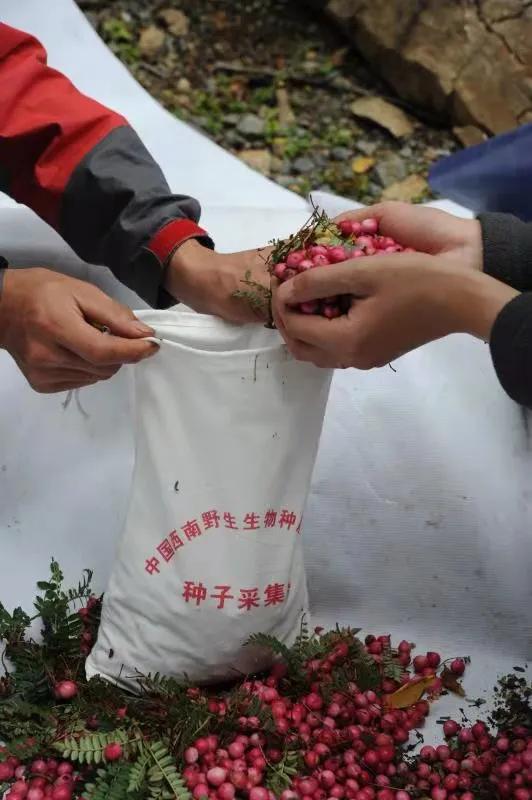 寻甸母婴健康管理品牌，守护未来，从此刻开始